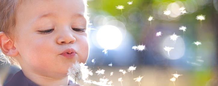Pediatric Allergy Testing Services Pediatric Allergy Testing Services