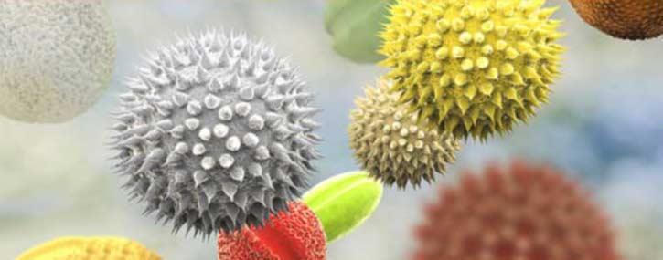 Frequently Asked Questions (FAQ) of Pollen Counts in Metro Atlanta Area Frequently Asked Questions (FAQ) of Pollen Counts in Metro Atlanta Area