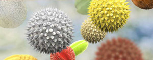 Frequently Asked Questions (FAQ) of Pollen Counts in Metro Atlanta Area Frequently Asked Questions (FAQ) of Pollen Counts in Metro Atlanta Area