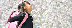 Ready for Spring Pollen? Ready for Spring Pollen?