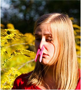 Fun Facts About Ragweed - Allergy & Asthma Center