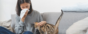 Tips for Pet Lovers to Manage Asthma and Allergy Symptom Near Me in Lawrenceville GA, Atlanta GA, and Conyers GA