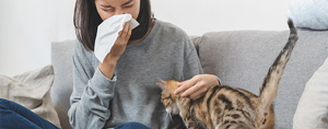 How to Live With Allergies and Pets in Lawrenceville, Atlanta, Conyers, GA How to Live With Allergies and Pets in Lawrenceville, Atlanta, Conyers, GA